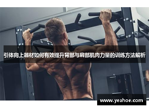 引体向上器材如何有效提升背部与肩部肌肉力量的训练方法解析