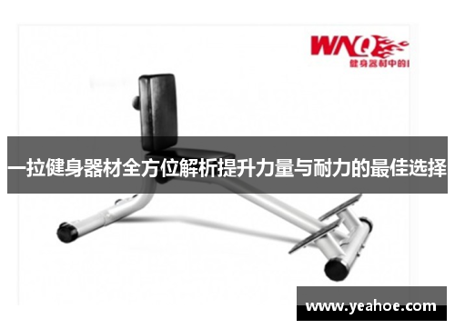 一拉健身器材全方位解析提升力量与耐力的最佳选择