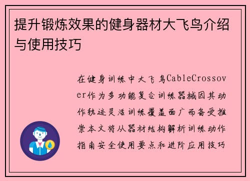 提升锻炼效果的健身器材大飞鸟介绍与使用技巧