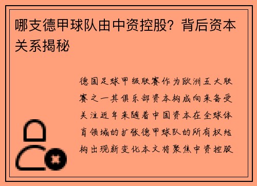 哪支德甲球队由中资控股？背后资本关系揭秘